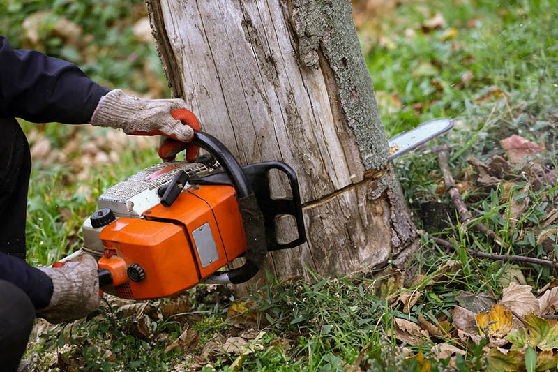 Tree service in Fairhaven, MA by TriTown Group