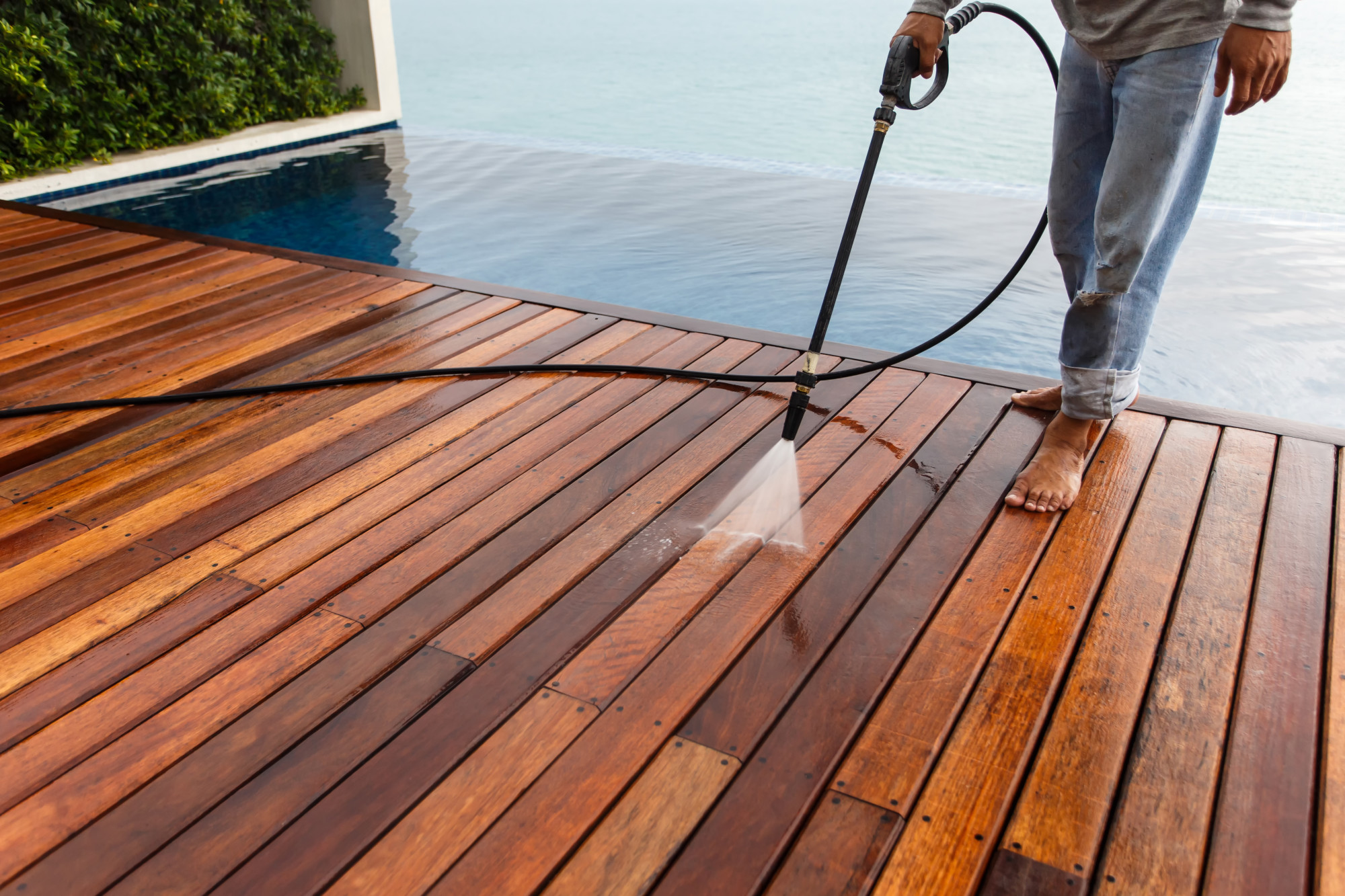 Tick Control by TriTown Group