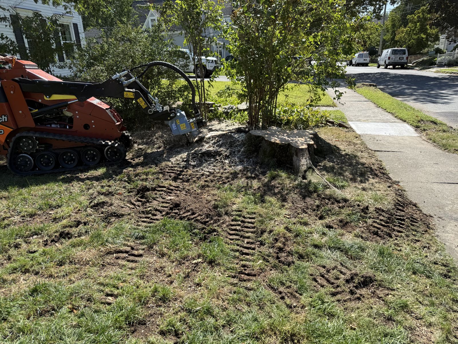 Tracked stump grinder beside a freshly ground stump