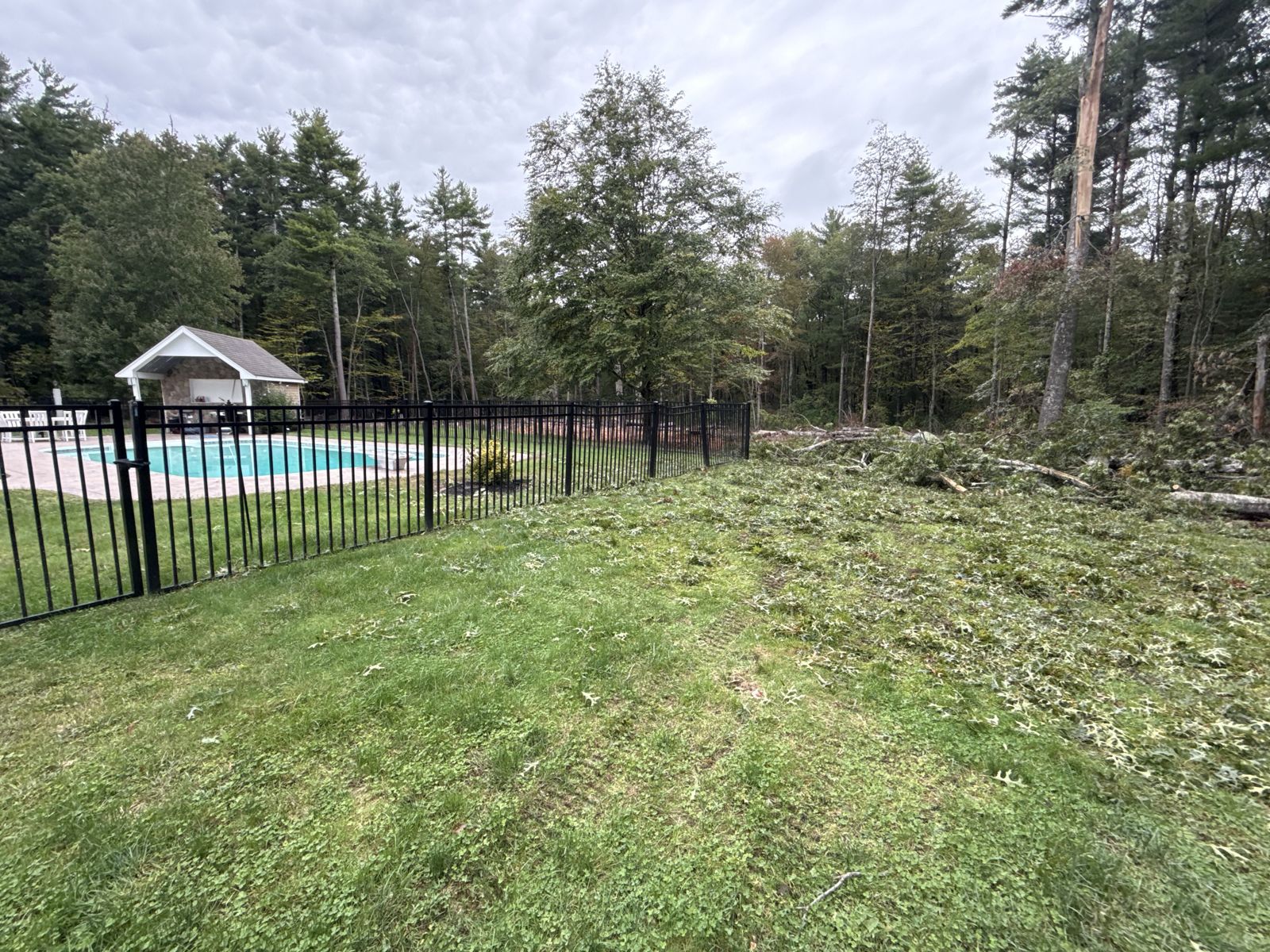 Storm debris across a backyard in Acushnet, MA