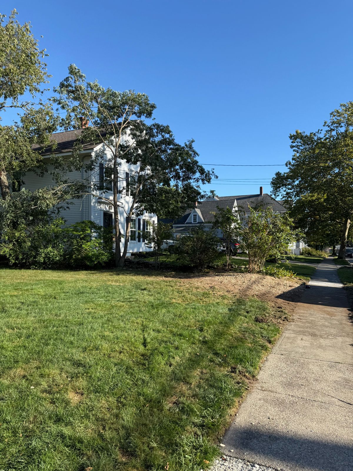 Front yard after stump grinding and cleanup