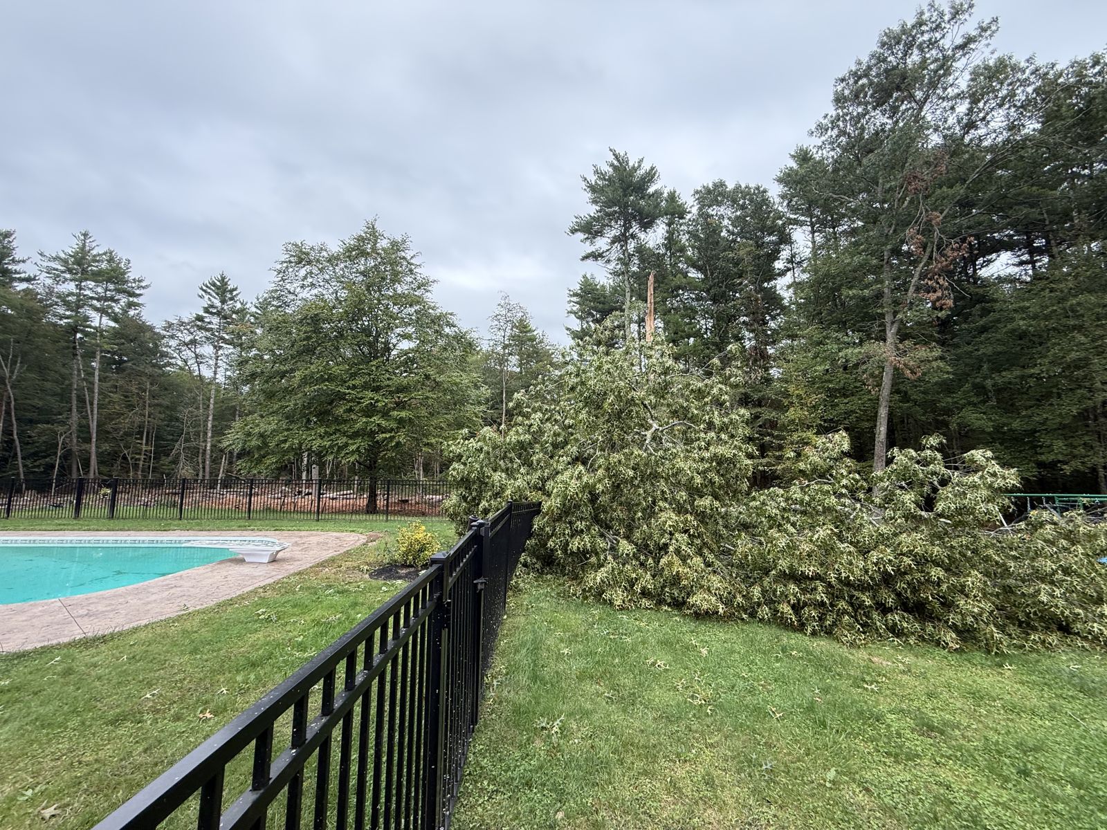 Storm-damaged tree fallen on a pool fence in Acushnet, MA